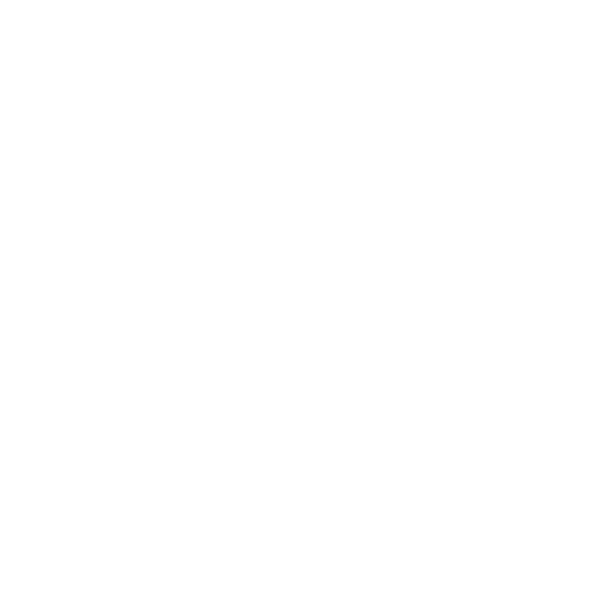 email icon white